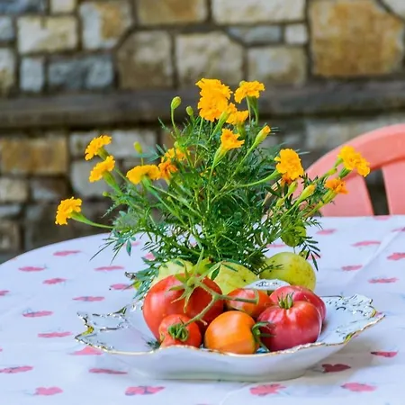 σπίτι στο τείχιο με θέα βαρδούσια και γκιώνα 別荘 *