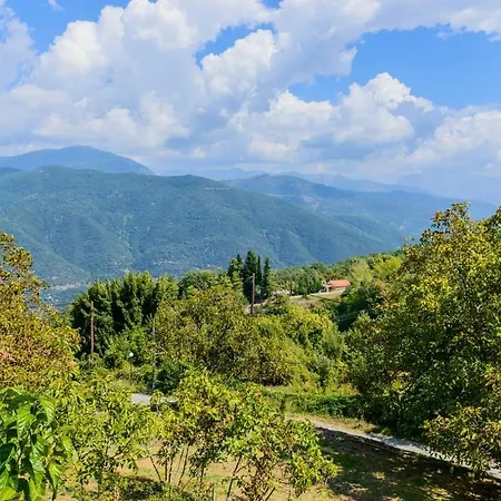 σπίτι στο τείχιο με θέα βαρδούσια και γκιώνα 別荘 *